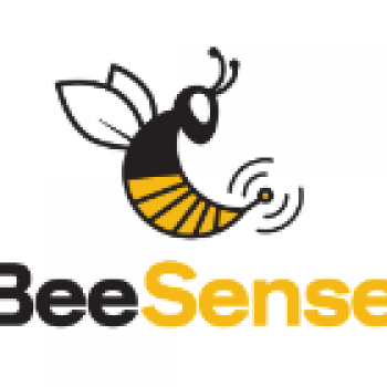 BeeSense